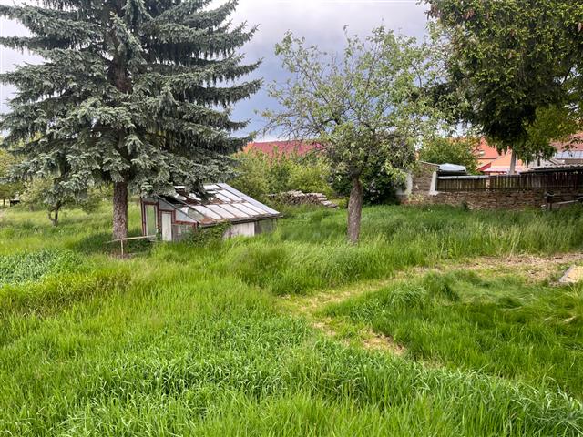 foto 28 [28/30]