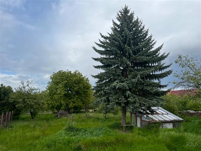 foto 26 [26/30]