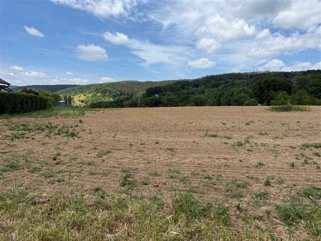 foto 12 [10/11]